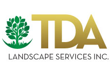TDA Logo